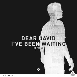 Download track I've Been Waiting (Original Mix) Dear David