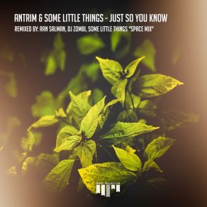 Download track Just So You Know (Dj Zombi Remix) Some Little Things