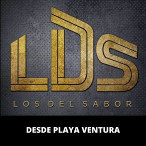 Download track Los Tlacololeros / Son De Victoria / Son De Mi Costa Los Del Sabor