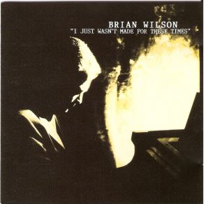 Download track Meant For You Brian Wilson