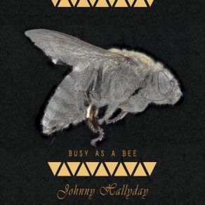 Download track Shake The Hand Of A Fool Johnny Hallyday