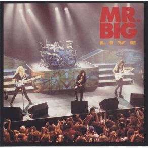 Download track Road To Ruin Mr. Big