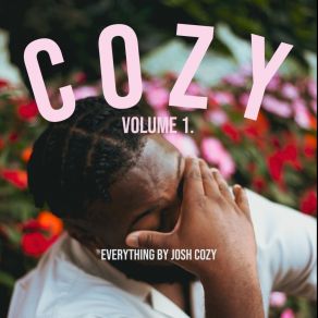 Download track Take Me Back, Interlude Josh Cozy