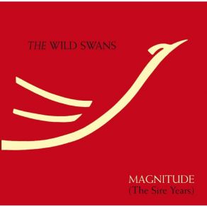 Download track Immaculate The Wild Swans