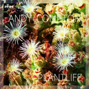 Download track I Wanna See You Groove (Anders Magic Fingers Mix) Andy ComptonCelestine, Anders Olinder