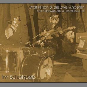 Download track Carly'S Mood (Quiroz) Wolf Nilson & Die Zwei Anderen