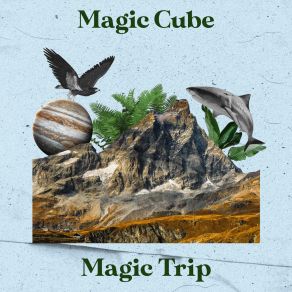 Download track Magic Trip Magic Cube