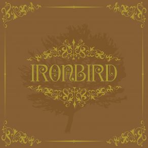 Download track Equation Ironbird