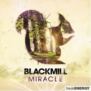 Download track Fortune Soul Blackmill