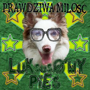 Download track Zaufaj Mi Milosc Luksusowy Pies