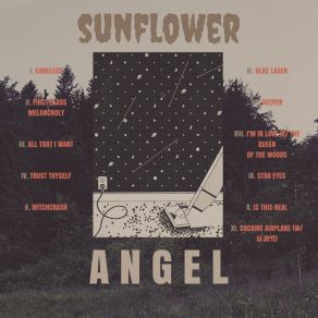 Download track Cocaine Airplane SunflowerSl Drft