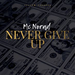 Download track Never Give Up DominoSean Pharo, MC Norad