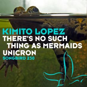 Download track Unicron Kimito Lopez