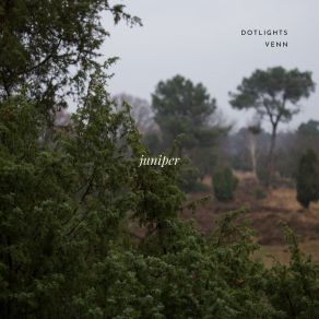 Download track Juniper V E N N