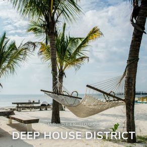 Download track Hypnotic Beats Mr. Deep House