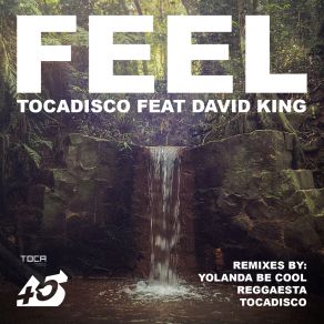 Download track Feel (Yolanda Be Cool Remix) Tocadisco, King David