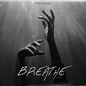 Download track Breathe (Extended Mix) Evius