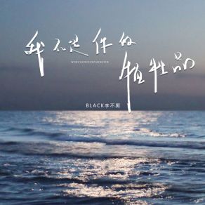 Download track 我不是你的牺牲品 (伴奏) BLACK李不黑