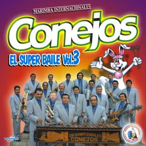 Download track Callecitas De San Marcos Marimba Internacionales Conejos