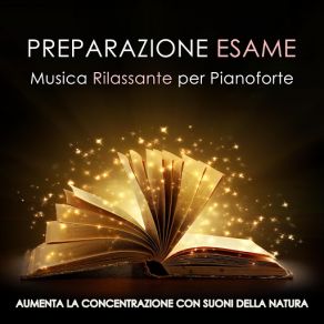 Download track Serenità Perduta Relaxation Study MusicBuddha Virtue