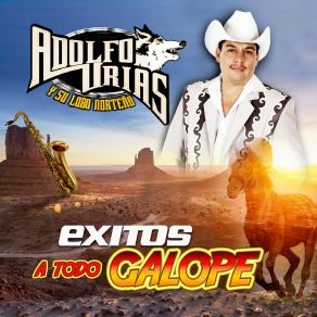 Download track Perdi Tu Amor Adolfo Urias Y Su Lobo Norteño