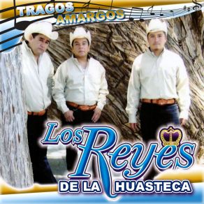 Download track Sentencia De Amor Los Reyes De La Huasteca