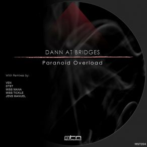 Download track Paranoid Overload (Dtst Remix) Dann At BridgesDtst