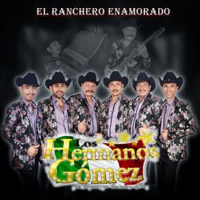 Download track De Regreso A Mi Tierra Los Hermanos Gomez