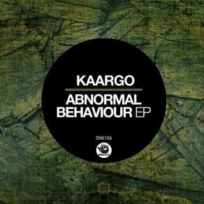 Download track Transictor (Original Mix) KAARGO