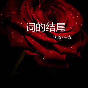 Download track 词的结尾 (伴奏) 沈权