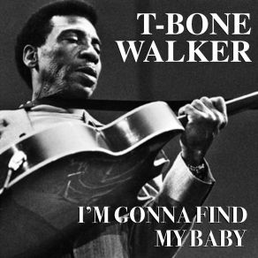 Download track Dream Girl Blues T - Bone Walker