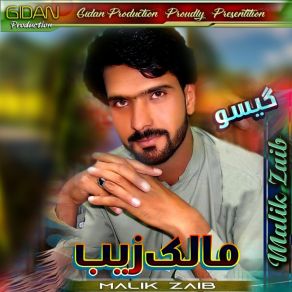 Download track Mare Barsat Malik Zaib