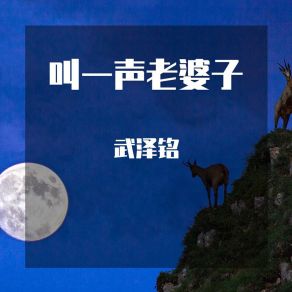 Download track 叫一声老婆子 武泽铭