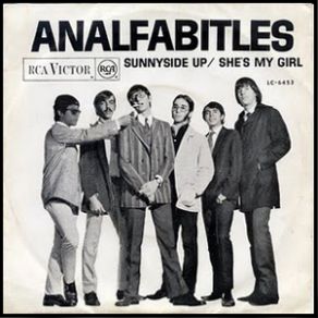 Download track She's My Girl Analfabitles