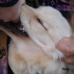 Download track Wouldn't Wanna Be Swept Away Jim O'Rourke, Christian Fennesz