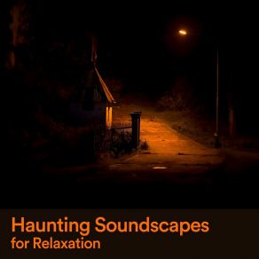 Download track Haunting Soundscapes For Relaxation, Pt. 12 Relaxing Music
