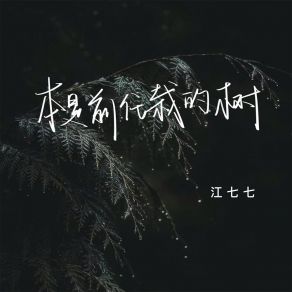 Download track 本是前任栽的树 江七七