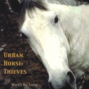 Download track King Street Urban Horse Thieves