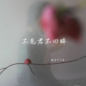 Download track 不见君不回眸 (释怀女生版) 晚安飞飞鱼