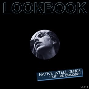 Download track Flip The Diamond (Original Mix) Native Intelligence