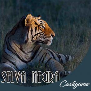 Download track Por El Bien De Los Dos Selva Negra