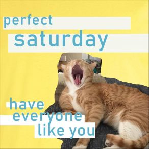 Download track Nobody Likes Me Perfect Saturday