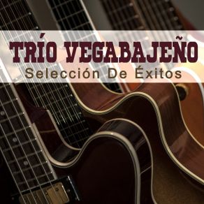 Download track De Méjico A Puerto Rico Trio Vegabajeño