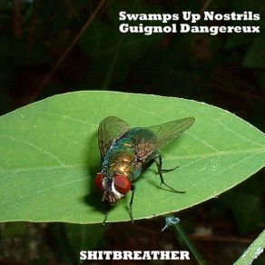 Download track Swamps Up Nostrils - Technoise Trash People Swamps Up Nostrils / Guignol Dangereux