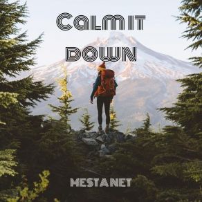 Download track Calm It Down (Speed Up Remix) MESTA NET