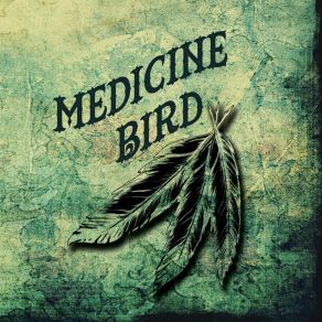 Download track Lost And Lonely Soul Medicine Bird