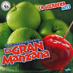 Download track Mix De Boleros: Norma La De Guadalajara / Hasta Que Te Conocí / Cerezo Rosa Marimba Orquesta La Gran Manzana