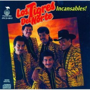 Download track Norma Corona Los Tigres Del Norte