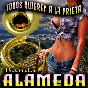 Download track Pa Que Me Sirve La Vida Banda Alameda