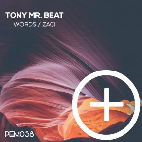 Download track Zaci Tony Mr. Beat